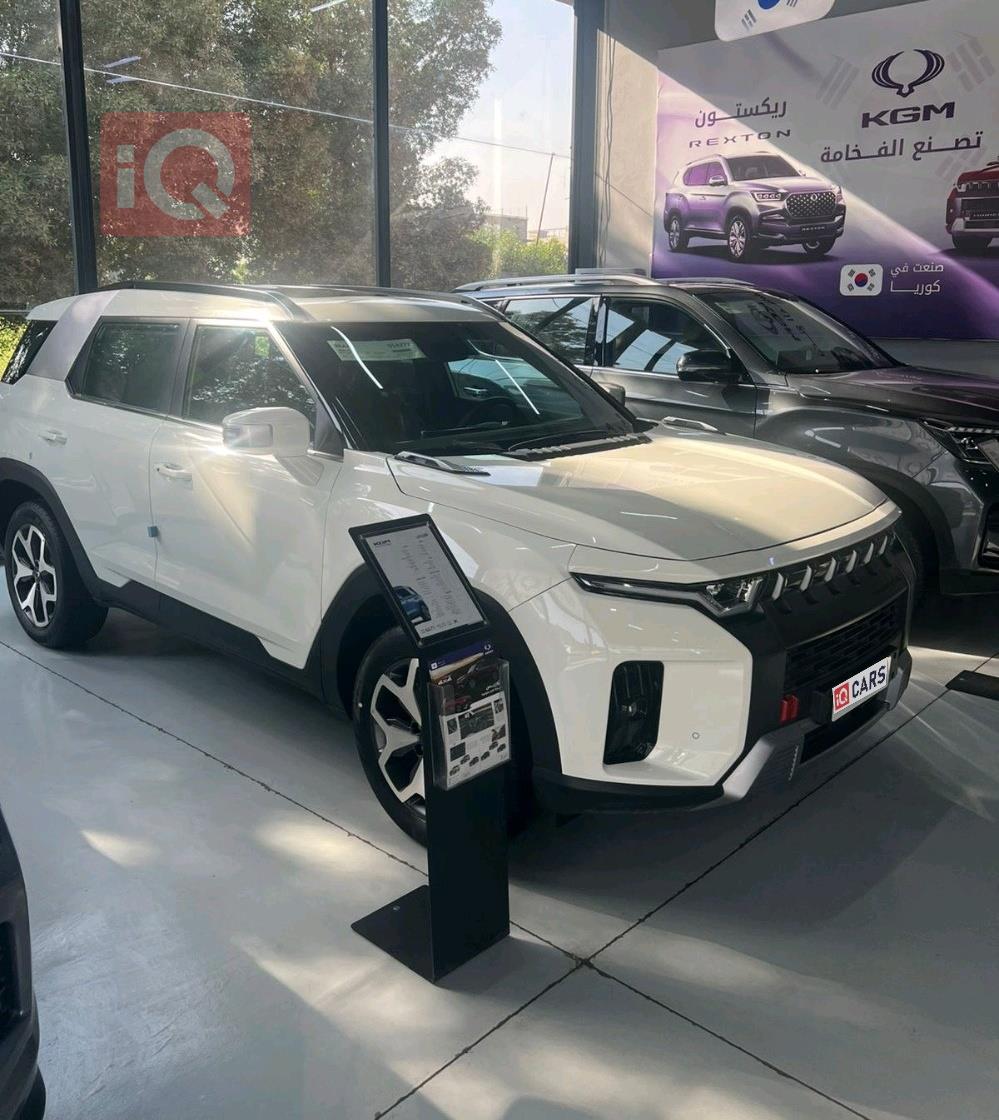 سانغ يونغ توريس